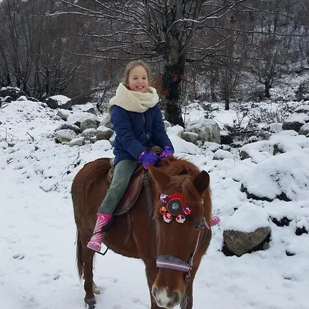 Rezidenca: Quku I Valbones *